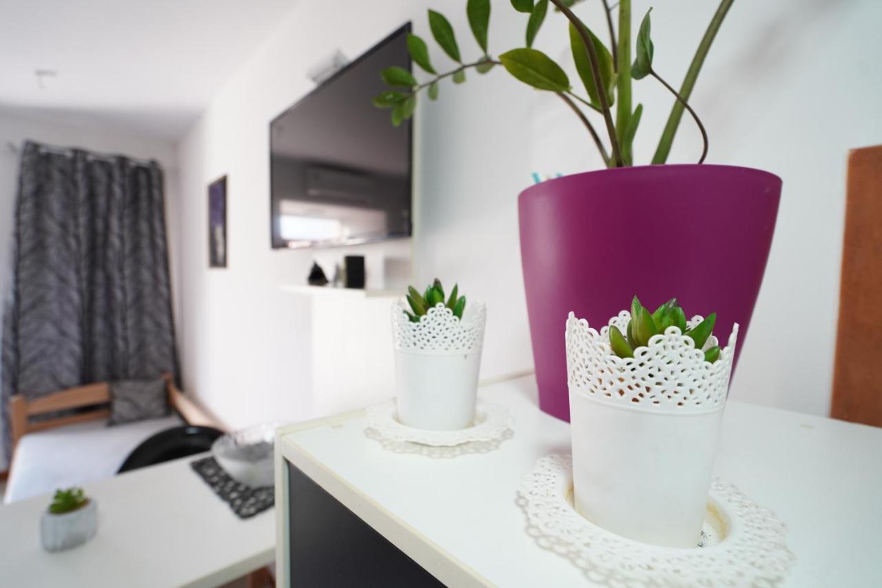 Iva Studio-Apartment Kladovo Eksteriør bilde